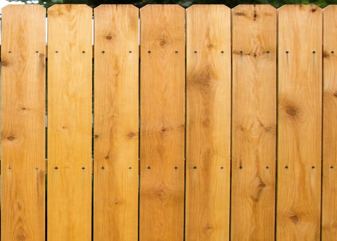Fence after cleaning
