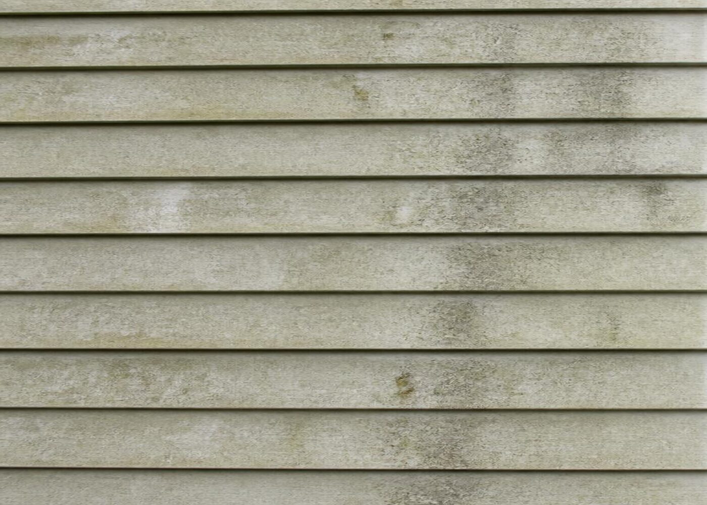 House Siding before cleaning