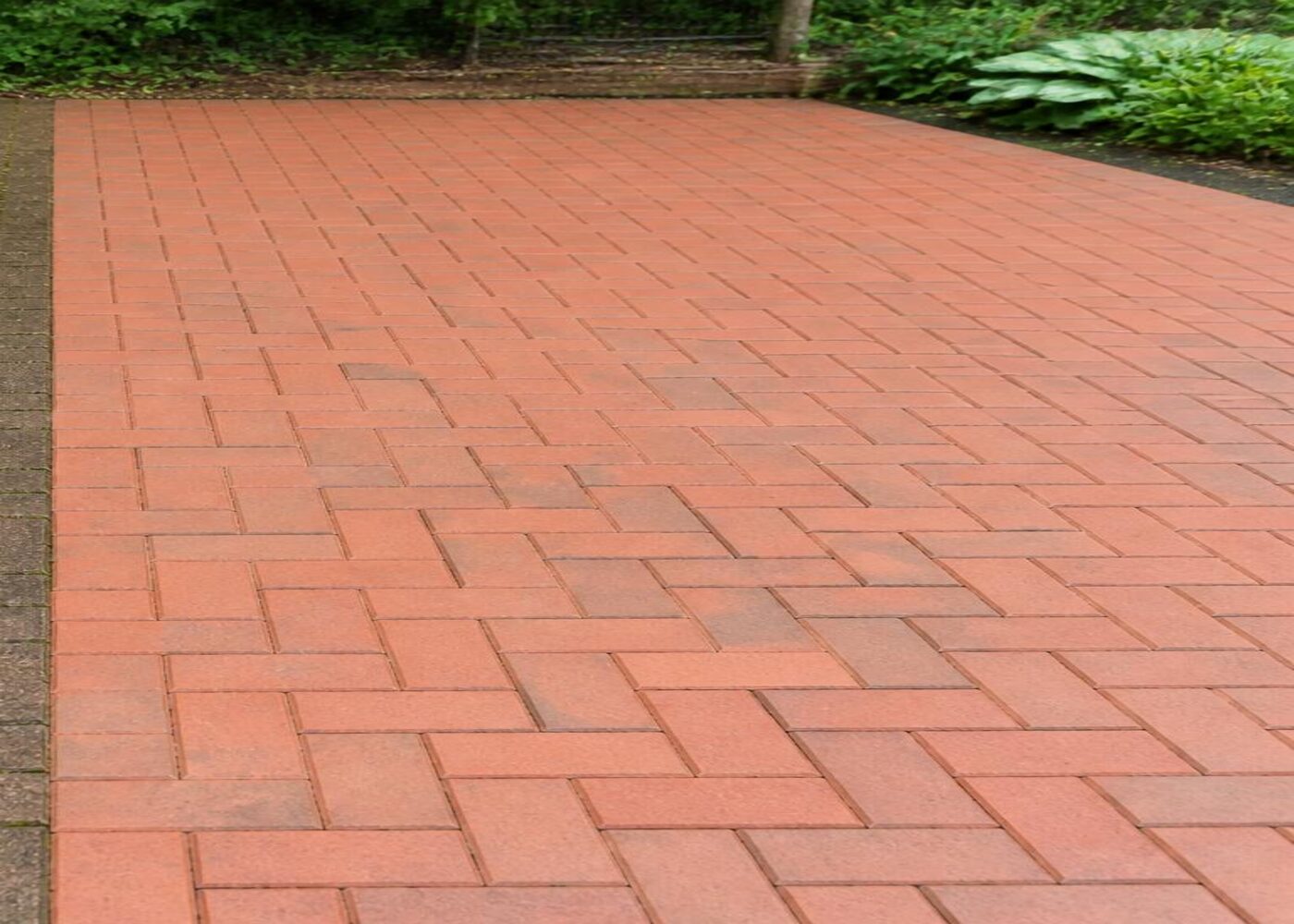 Patio after cleaning