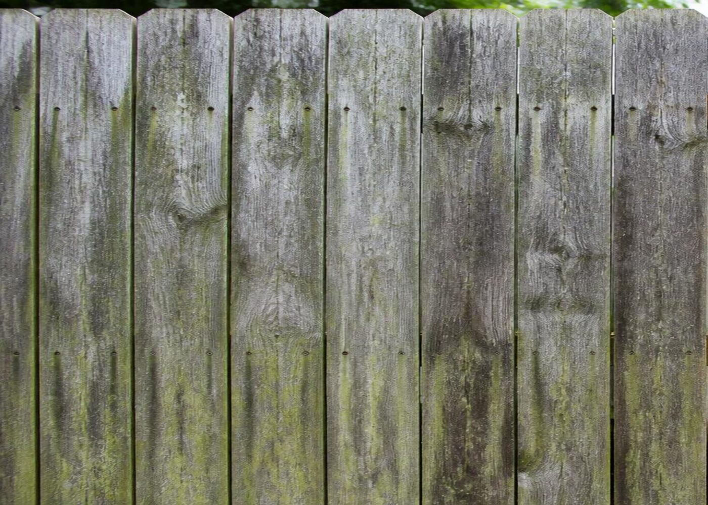 Fence before cleaning