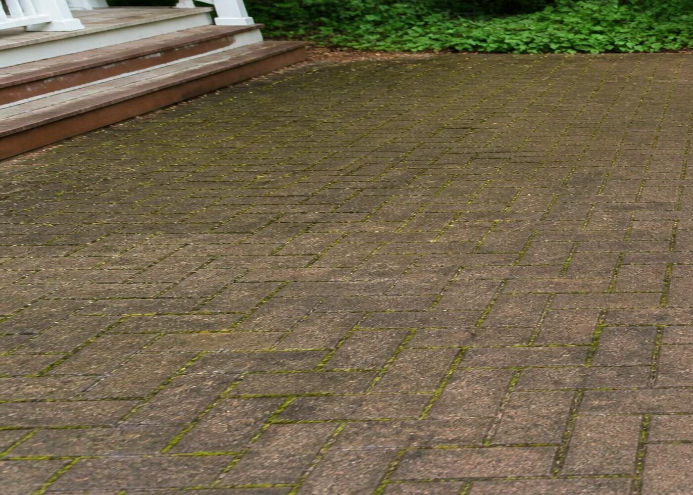 Patio before cleaning